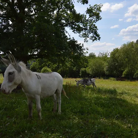 דירה Idyllic In Hohenstein Near Forest Briedeler Heck